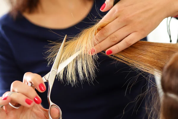 Female hairdresser hold in hand lock of hair — Stockfoto