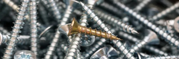 Universal silver screws of different sizes closeup — Stock Photo, Image