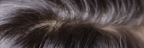 Μαύρα και γκρίζα μαλλιά στο κεφάλι closeup — Φωτογραφία Αρχείου