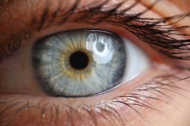 Kadın gözünün yakın çekimi. Makro çekimde genç bir kadın kameraya bakıp poz veriyor.