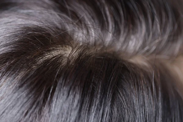 Cabelo preto e cinza na cabeça closeup — Fotografia de Stock