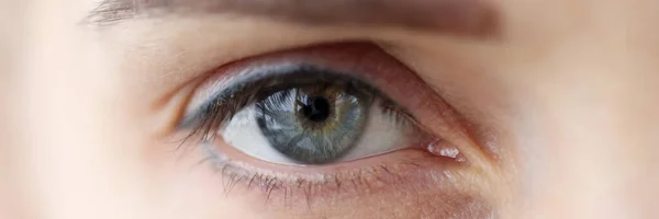 Womans eye with permanent eyelid and eyebrow makeup closeup