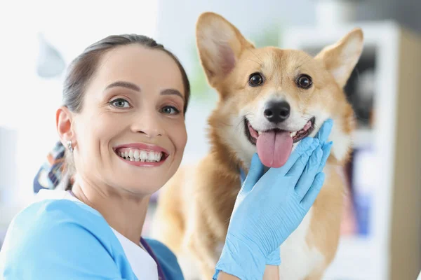 Retrato de veterinário fêmea sorridente, juntamente com o cão de gengibre — Fotografia de Stock