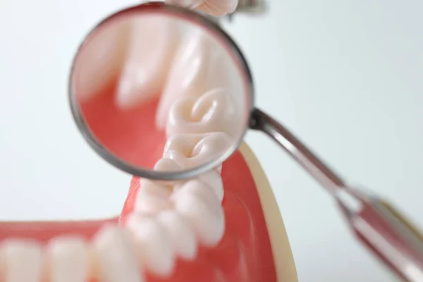 Dental examination mirror and artificial jaw closeup — Stock Photo, Image