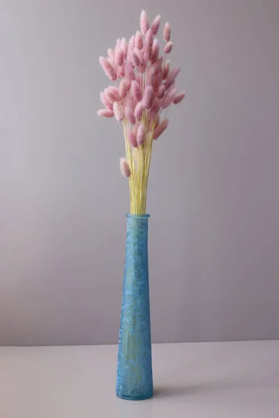 Trockene rosa Blumen Hasenschwänze in der Vase Nahaufnahme — Stockfoto