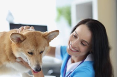 Gülümseyen veteriner doktor köpeği muayene ediyor.