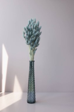 Renkli, kuru tavşan kuyruğu çiçekleri vazoda.