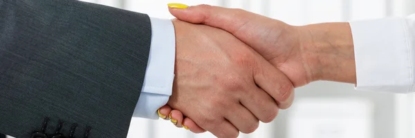 Male and female handshake in office — Stok fotoğraf