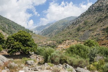 Dağ bitkisi bulutları ve mavi gökyüzü