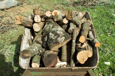 Yığının içinde kuru odun dolu paslı bir el arabası yerde yeşil çimlerle duruyor. Kış için yakacak odun hazırlığı.