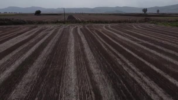 Πετώντας Πάνω Από Χωράφι Μετά Συγκομιδή Αγροτικό Υπόβαθρο Μετά Συγκομιδή — Αρχείο Βίντεο