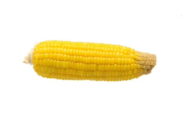 Corn isolated on white background — Stock Photo, Image