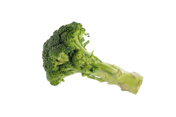 Broccoli isolati su bianco — Foto Stock