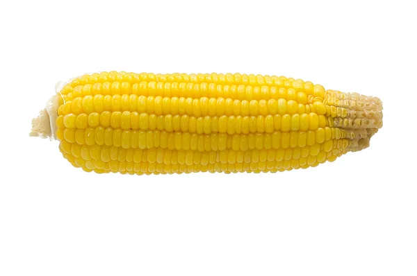 Maïs geïsoleerd op witte achtergrond — Stockfoto