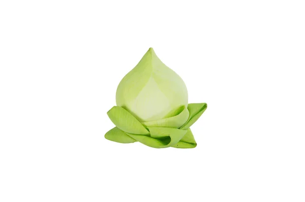 Closeup lotus on white background. — Stock Photo, Image