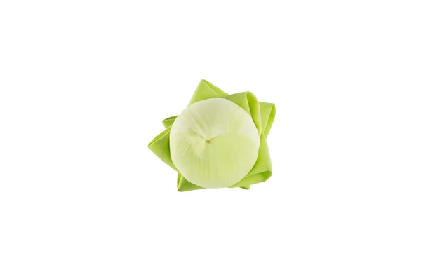 Closeup lotus on white background. — Stock Photo, Image