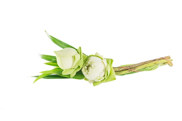 Closeup couple lotus on white background. — Stock Photo, Image