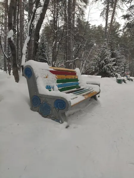 Banco Madeira Coberto Com Neve Parque Inverno — Fotografia de Stock