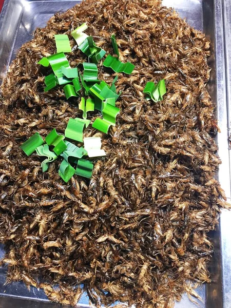 fried cockroaches on the counter in Thailand.