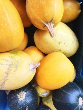 Saman üzerinde kabak ve kabak çeşitleri var. Renkli sebzeler üst görünüm.