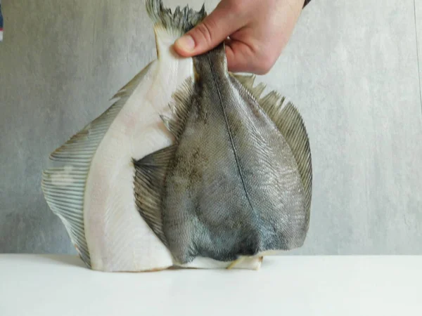 Two Fresh Flounders Large Small Cooking — Stock Photo, Image