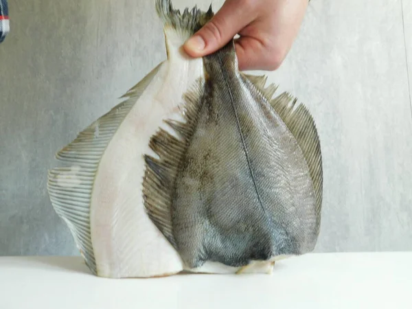 Dua Flounder Segar Besar Dan Kecil Sebelum Dimasak — Stok Foto