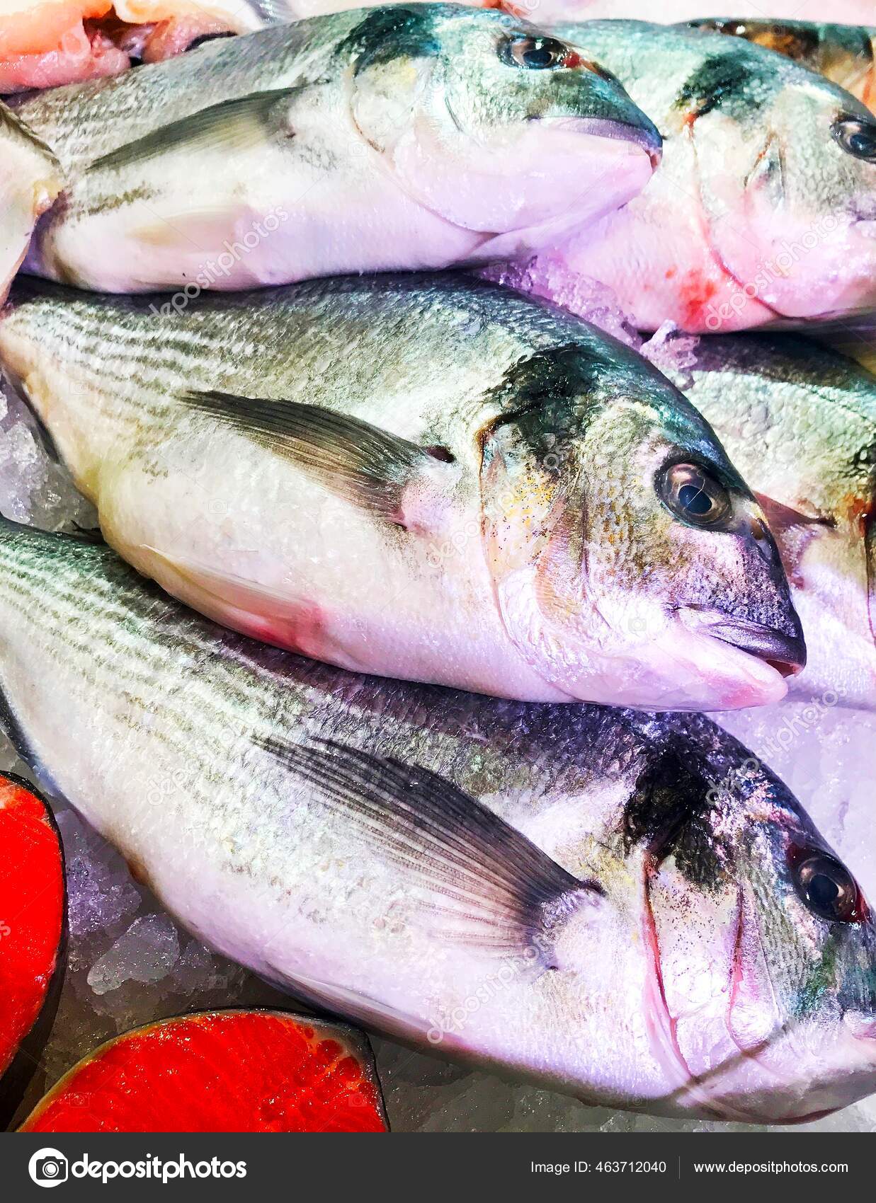 Fresh Fish Counter Fish Store Stock Photo by 463712040