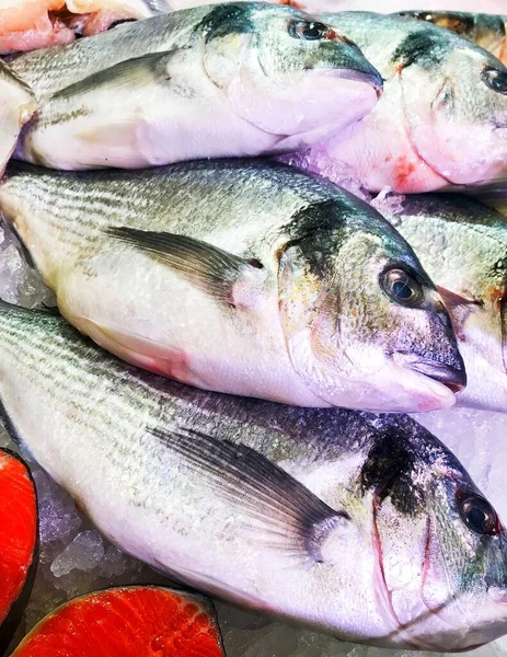 Fresh fish on the counter at a fish store