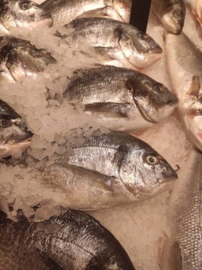 Balık dükkanının tezgahında taze balık var.