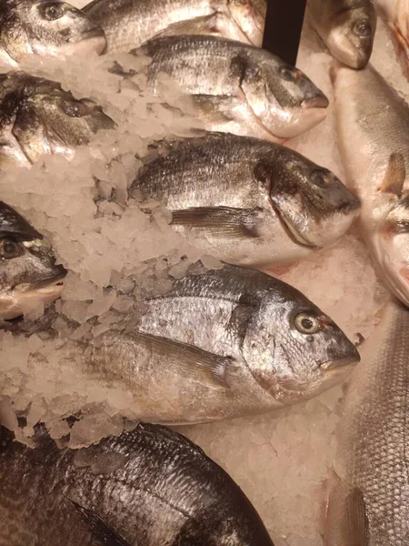 Balık dükkanının tezgahında taze balık var.