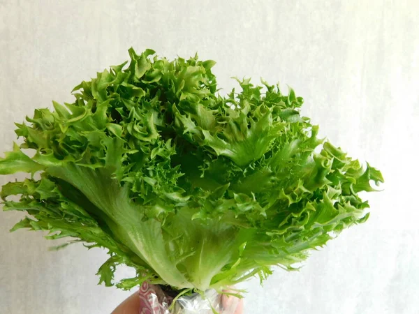 Ensalada Verde Fresca Una Olla Ensalada Granja — Foto de Stock