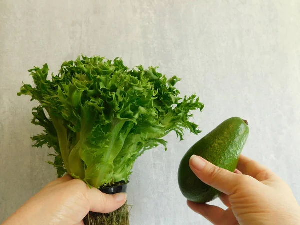 Chica Está Sosteniendo Una Ensalada Verde Fresca Una Olla Verduras — Foto de Stock