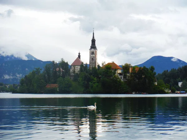 Lake Bled Kyrkan Snötäckta Berg Och Molnig Himmel Natur Fjällsjö — Stockfoto