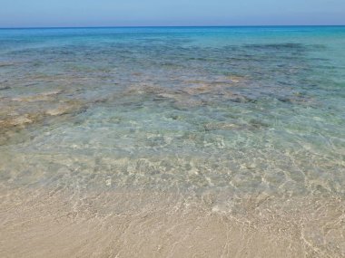 İncir ağacı kumsalı, Cythe. Nisan 2021, Paralimni 'de sakin deniz, Kıbrıs Nisan 2021.