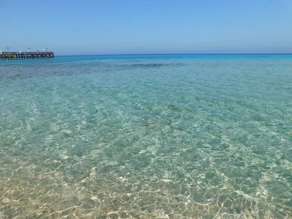Vijgenboom Strand Cyprus April 2021 Kalme Zee Bij Vijgenstrand Paralimni — Stockfoto