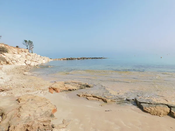 Vijgenboom Strand Cyprus April 2021 Kalme Zee Bij Vijgenstrand Paralimni — Stockfoto