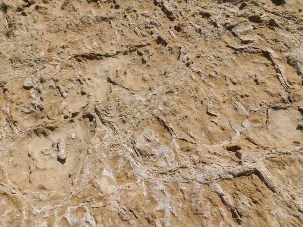 Costa Vulcânica Água Limpa Protaras Chipre — Fotografia de Stock