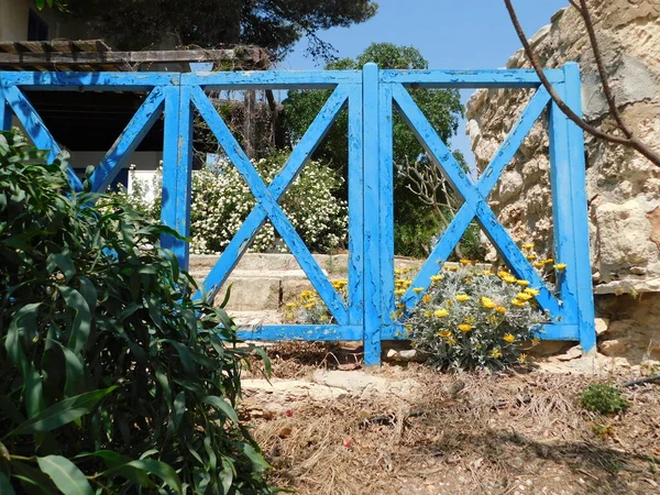 Vecchio Recinto Legno Blu Giardino Abbandonato Protaras Cipro Aprile 2021 — Foto Stock