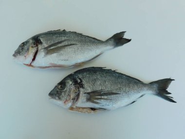 Masada taze Dorado var, pişirmeye hazır. Sağlıklı yemek. taze balık