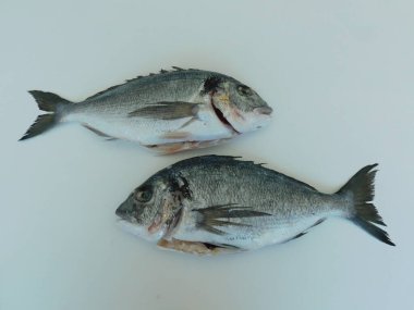 Masada taze Dorado var, pişirmeye hazır. Sağlıklı yemek. taze balık