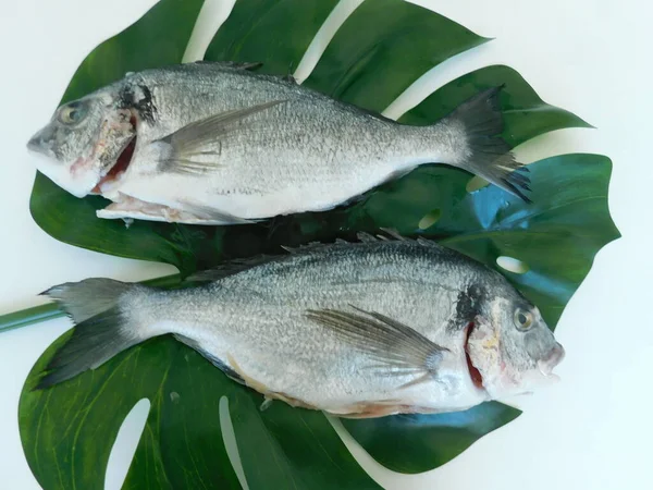 Dorado Fresco Mesa Listo Para Cocinar Una Alimentación Saludable Pescado —  Fotos de Stock