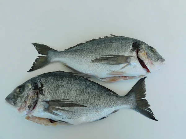 Dorado Fresco Mesa Listo Para Cocinar Una Alimentación Saludable Pescado —  Fotos de Stock