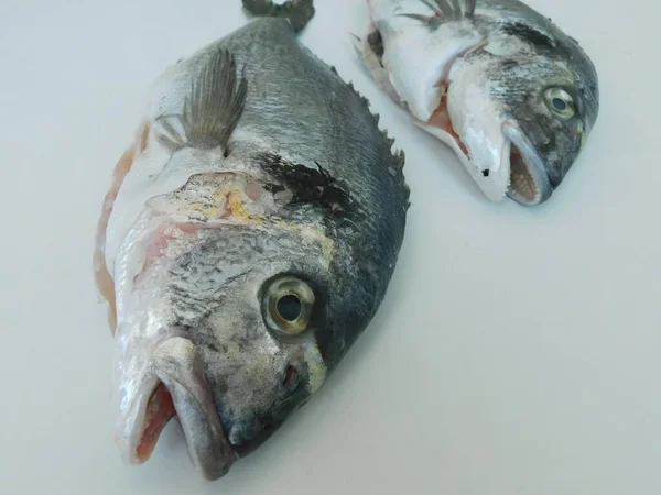 Dorado Fresco Sul Tavolo Pronto Cuocere Alimentazione Sana Pesce Fresco — Foto Stock