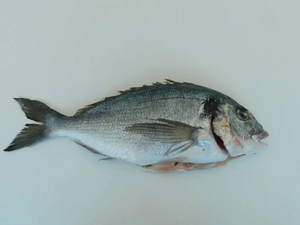 Dorado Fresco Mesa Pronto Para Cozinhar Alimentação Saudável Peixe Fresco — Fotografia de Stock