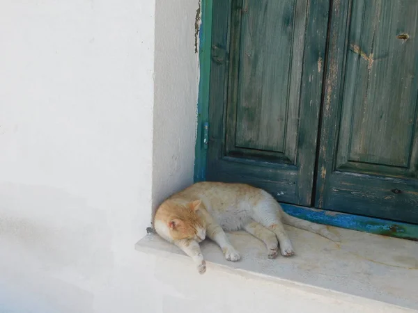 Mooie Zeegezicht Cape Kavo Greco Ayia Napa Protara Cyprus — Stockfoto