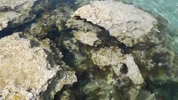 海の水の下にカラフルな石 それらの上に水効果と — ストック動画