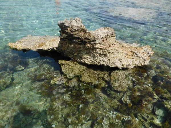 Mar Bahía Rocosa Con Agua Clara Hermosas Rocas Paralimni Protaras — Foto de Stock