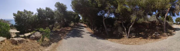 Dağ Kırsal Yolu Ayia Napa Kıbrıs — Stok fotoğraf