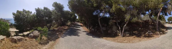 Jalan Pedesaan Pegunungan Ayia Napa Siprus Stok Gambar