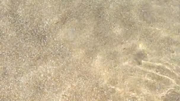 Texture du fond marin, vagues de sable jaune en eau peu profonde. — Video